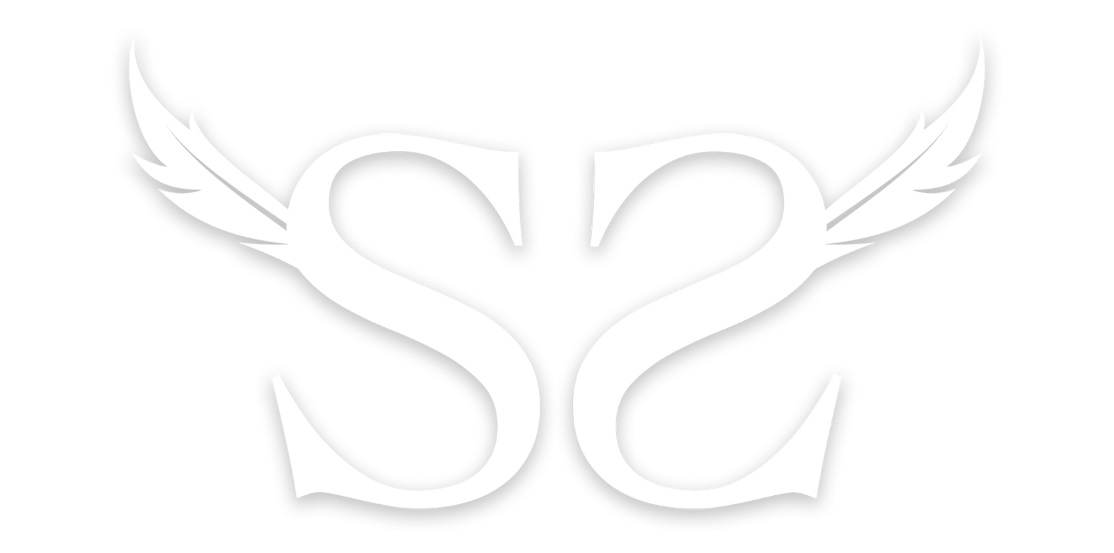 SS LAW Group, LLC